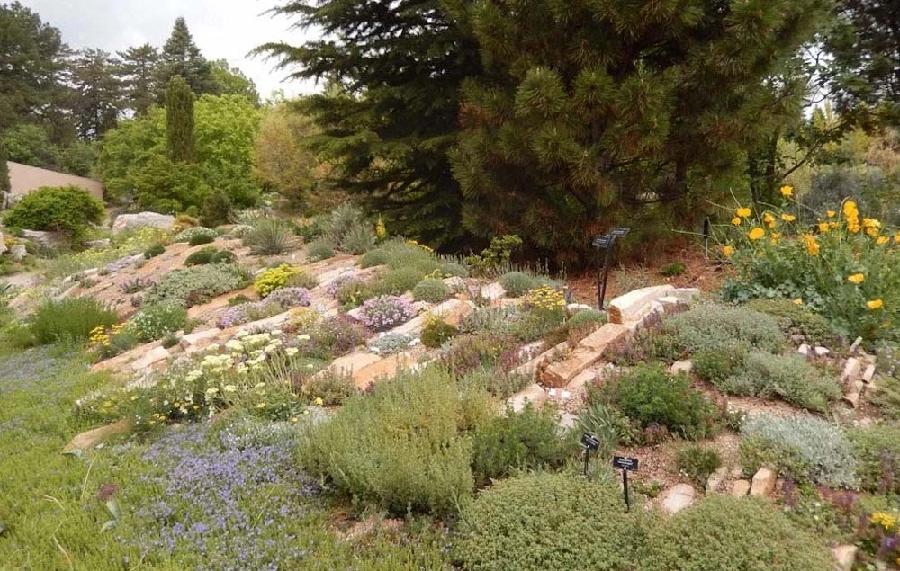 Gardener consulting The Old Farmer’s Almanac planting chart in backyard garden.